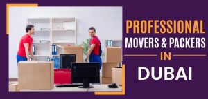 Professional Movers And Packers In Dubai